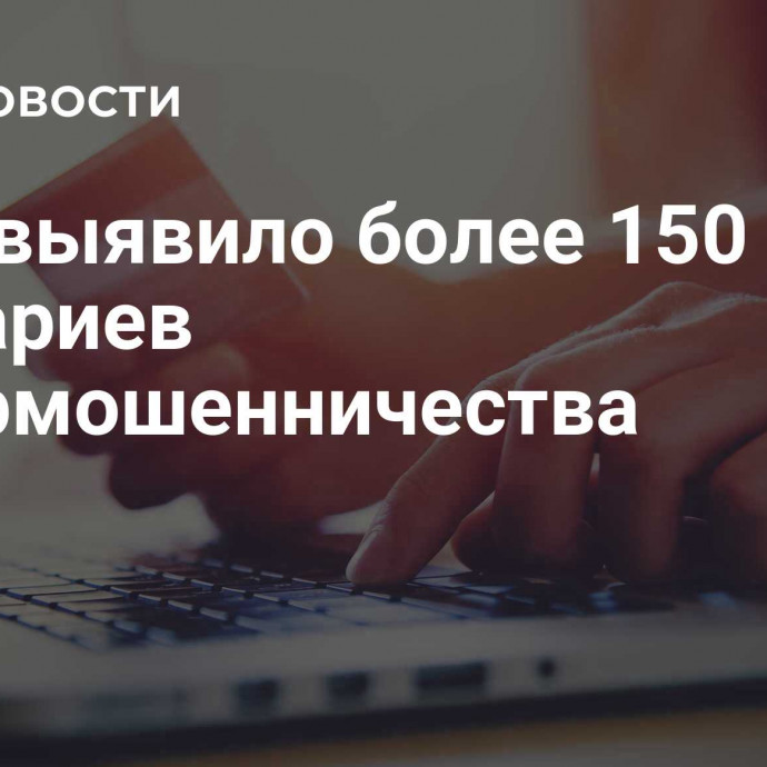 МВД выявило более 150 сценариев кибермошенничества