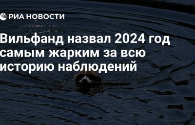 Вильфанд назвал 2024 год самым жарким за всю историю наблюдений