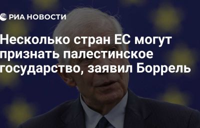 Несколько стран ЕС могут признать палестинское государство, заявил Боррель