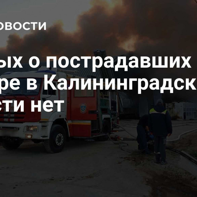 Данных о пострадавших при пожаре в Калининградской области нет