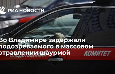 Во Владимире задержали подозреваемого в массовом отравлении шаурмой