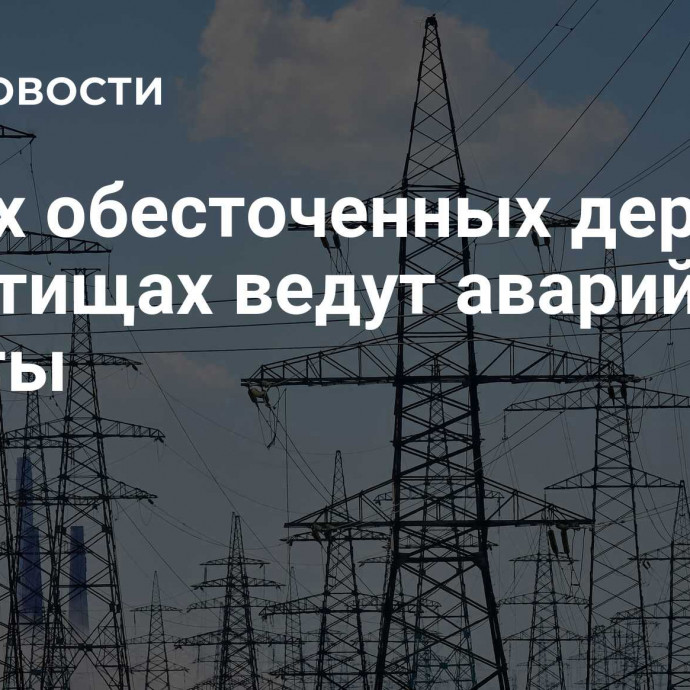 В трех обесточенных деревнях в Мытищах ведут аварийные работы