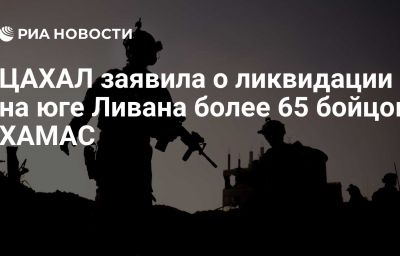 ЦАХАЛ заявила о ликвидации на юге Ливана более 65 бойцов ХАМАС