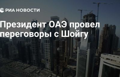 Президент ОАЭ провел переговоры с Шойгу