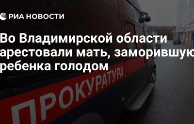 Во Владимирской области арестовали мать, заморившую ребенка голодом