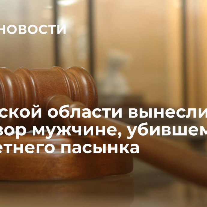 В Тульской области вынесли приговор мужчине, убившему пятилетнего пасынка