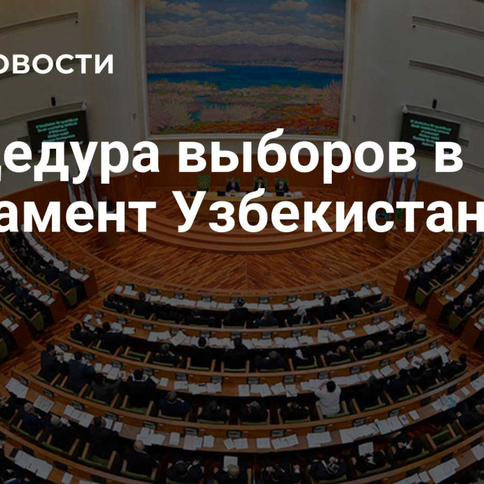 Процедура выборов в парламент Узбекистана