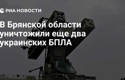 В Брянской области уничтожили еще два украинских БПЛА