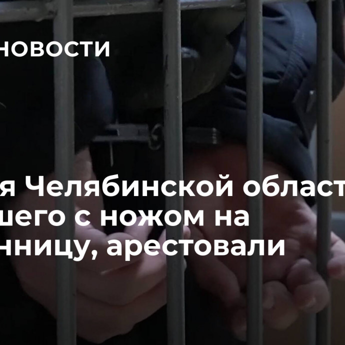 Жителя Челябинской области, напавшего с ножом на племянницу, арестовали