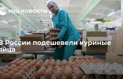 В России подешевели куриные яйца