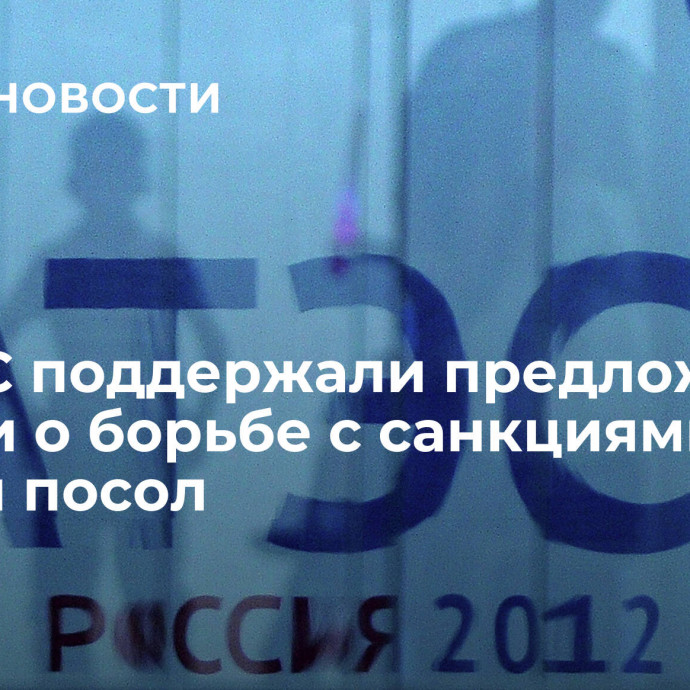 В АТЭС поддержали предложение России о борьбе с санкциями, заявил посол