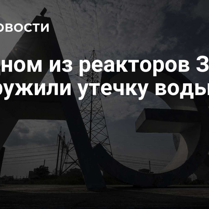 На одном из реакторов ЗАЭС обнаружили утечку воды