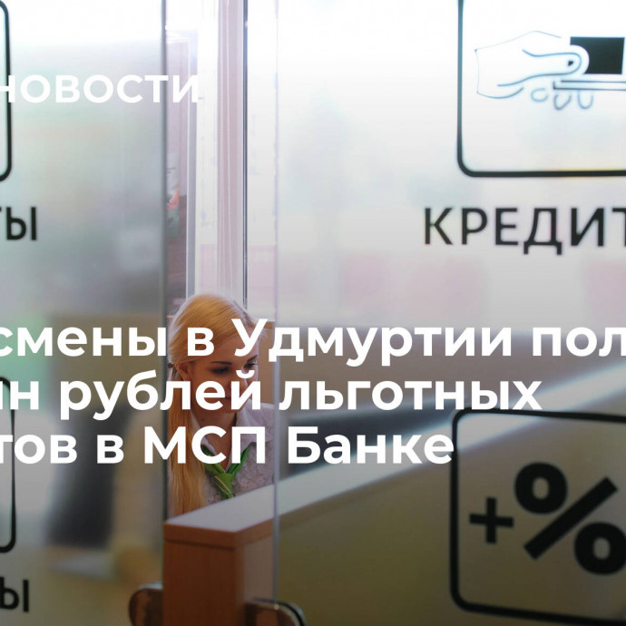 Бизнесмены в Удмуртии получили 400 млн рублей льготных кредитов в МСП Банке