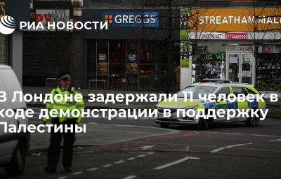 В Лондоне задержали 11 человек в ходе демонстрации в поддержку Палестины