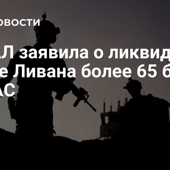 ЦАХАЛ заявила о ликвидации на юге Ливана более 65 бойцов ХАМАС