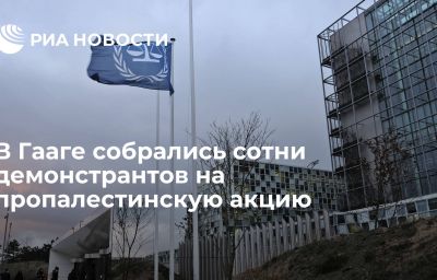 В Гааге собрались сотни демонстрантов на пропалестинскую акцию