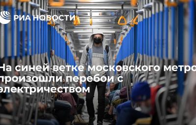 На синей ветке московского метро произошли перебои с электричеством