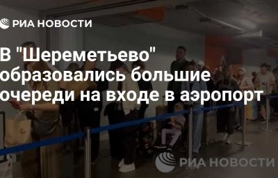 В "Шереметьево" образовались большие очереди на входе в аэропорт