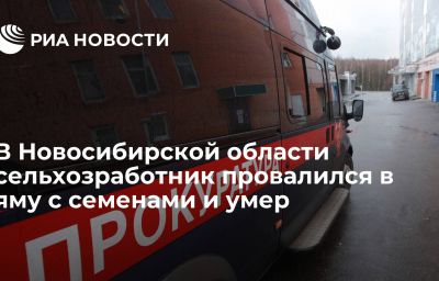 В Новосибирской области сельхозработник провалился в яму с семенами и умер