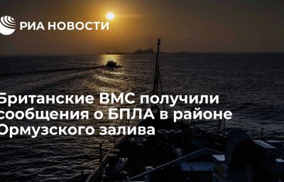 Британские ВМС получили сообщения о БПЛА в районе Ормузского залива