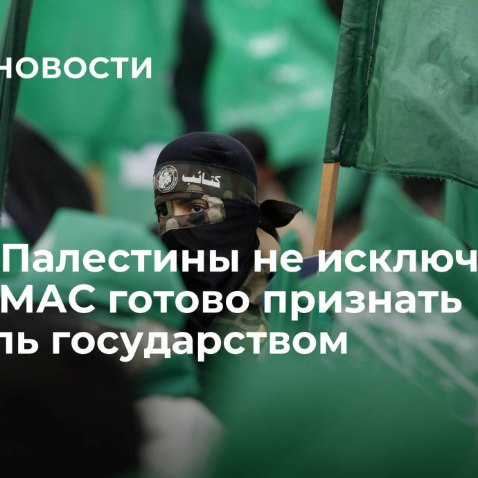 Посол Палестины не исключил, что ХАМАС готово признать Израиль государством