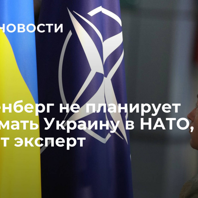 Столтенберг не планирует принимать Украину в НАТО, считает эксперт