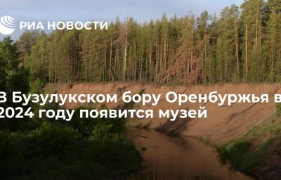 В Бузулукском бору Оренбуржья в 2024 году появится музей