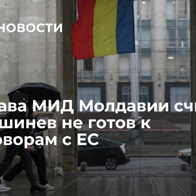 Экс-глава МИД Молдавии считает, что Кишинев не готов к переговорам с ЕС