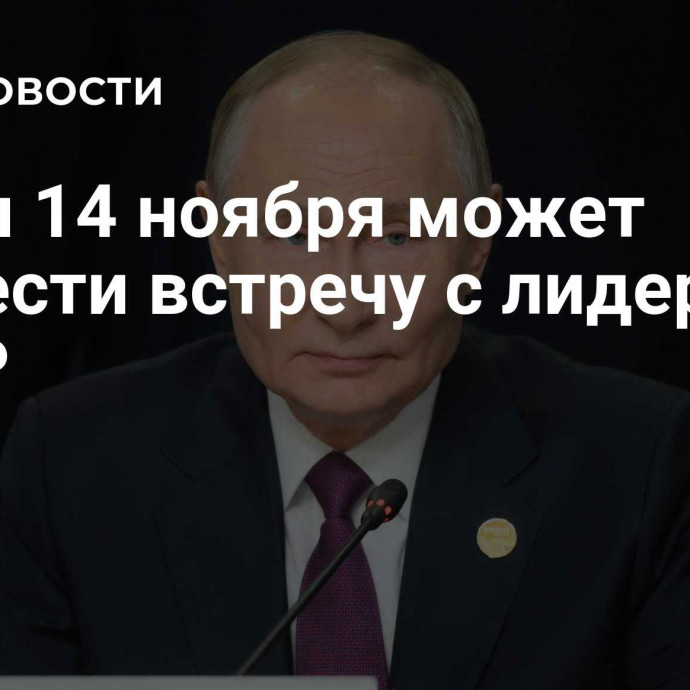 Путин 14 ноября может провести встречу с лидером ЛДПР