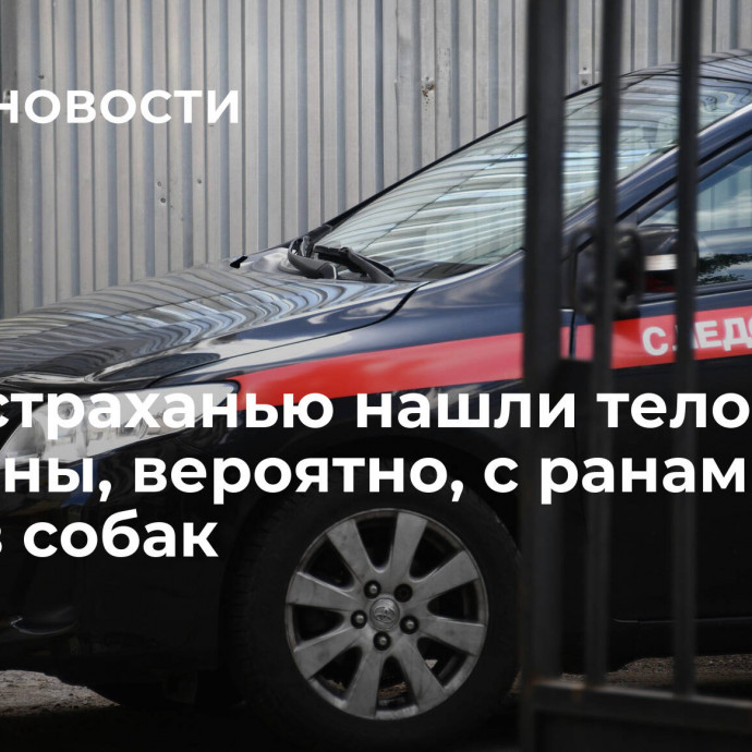 Под Астраханью нашли тело мужчины, вероятно, с ранами от укусов собак