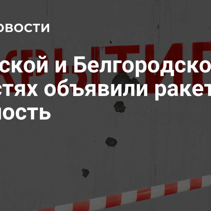 В Курской и Белгородской областях объявили ракетную опасность