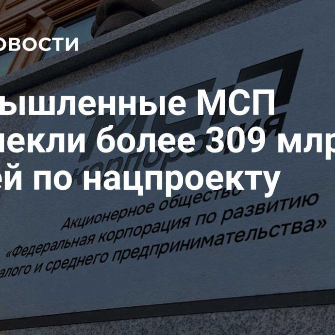 Промышленные МСП привлекли более 309 млрд рублей по нацпроекту