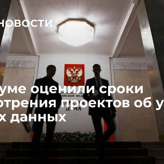 В Госдуме оценили сроки  рассмотрения проектов об утечках личных данных