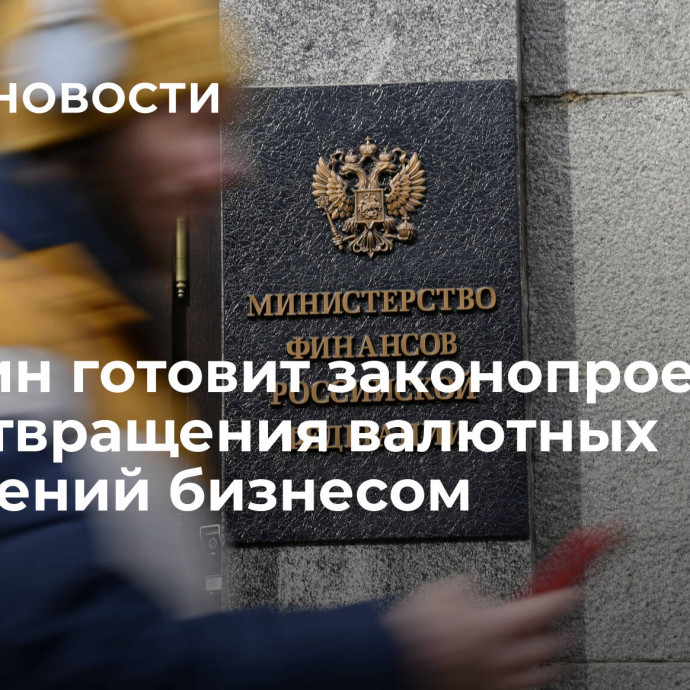 Минфин готовит законопроект для предотвращения валютных нарушений бизнесом