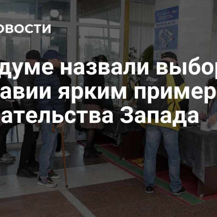 В Госдуме назвали выборы в Молдавии ярким примером вмешательства Запада