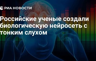 Российские ученые создали биологическую нейросеть с тонким слухом