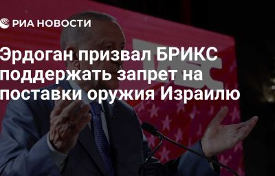 Эрдоган призвал БРИКС поддержать запрет на поставки оружия Израилю