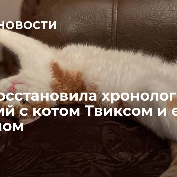 ФПК восстановила хронологию событий с котом Твиксом и его хозяином