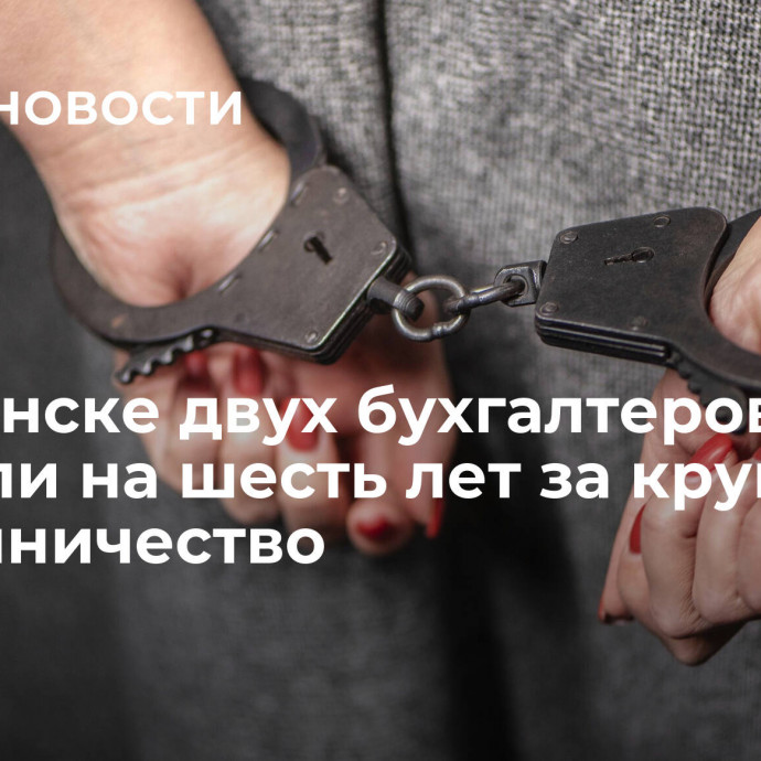 В Саранске двух бухгалтеров осудили на шесть лет за крупное мошенничество