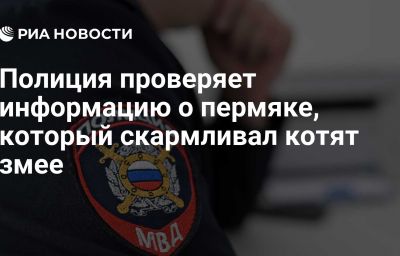 Полиция проверяет информацию о пермяке, который скармливал котят змее