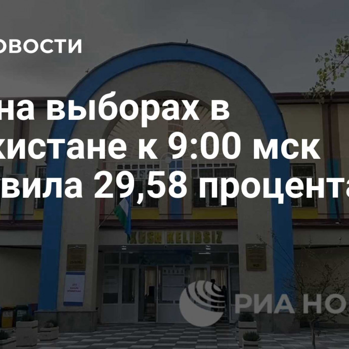 Явка на выборах в Узбекистане к 9:00 мск составила 29,58 процента