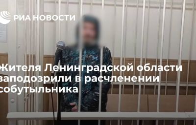 Жителя Ленинградской области заподозрили в расчленении собутыльника