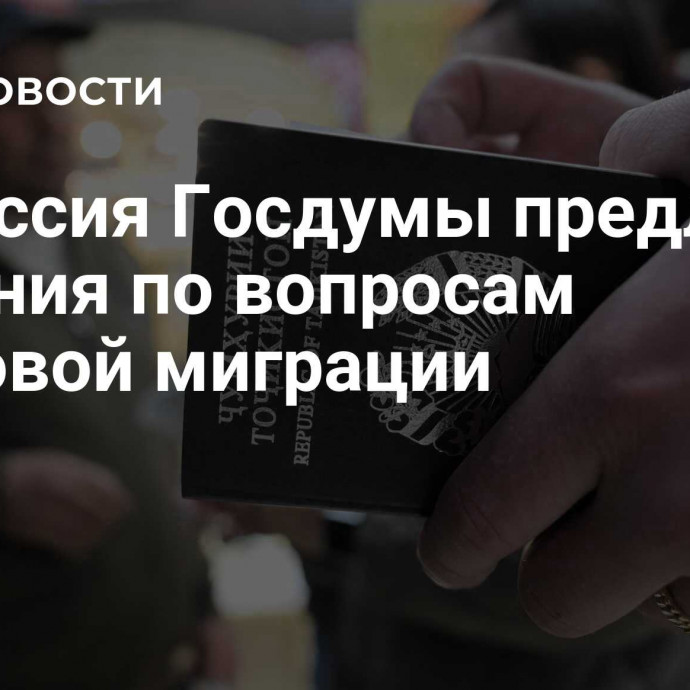 Комиссия Госдумы предложит решения по вопросам трудовой миграции