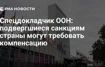 Спецдокладчик ООН: подвергшиеся санкциям страны могут требовать компенсацию