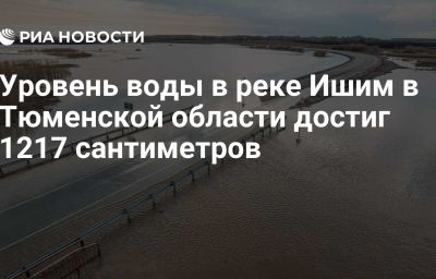 Уровень воды в реке Ишим в Тюменской области достиг 1217 сантиметров