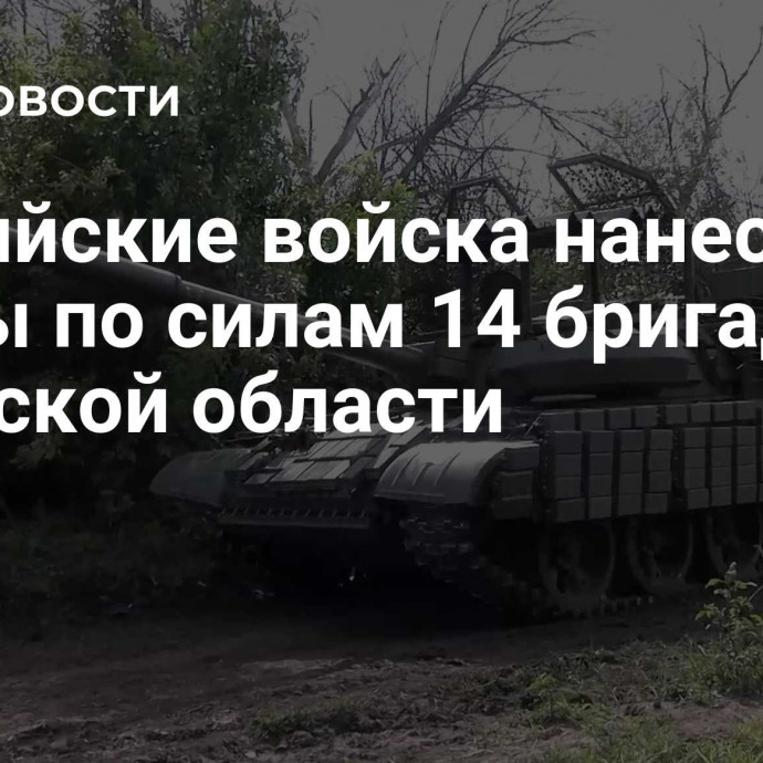 Российские войска нанесли удары по силам 14 бригад ВСУ в Курской области