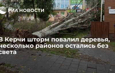 В Керчи шторм повалил деревья, несколько районов остались без света