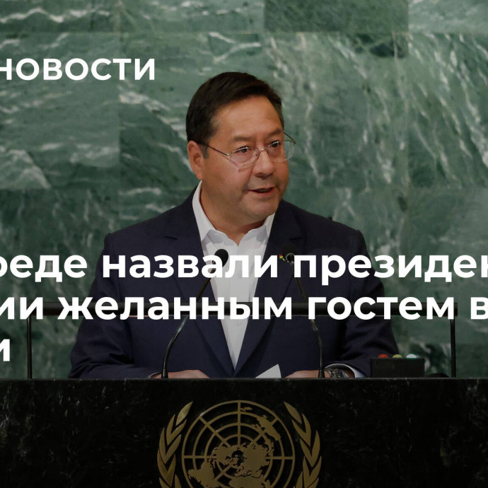 В Совфеде назвали президента Боливии желанным гостем в России
