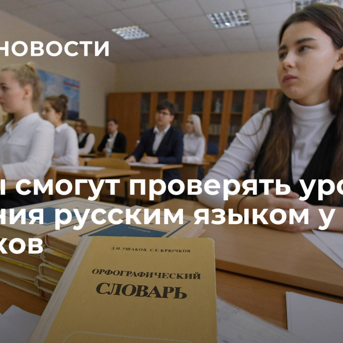 Школы смогут проверять уровень владения русским языком у учеников