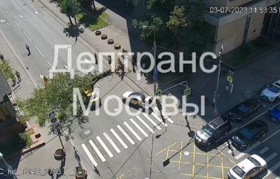 Упавшее дерево парализовало движение по улице в центре Москвы